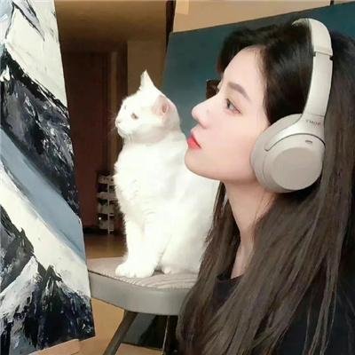 楼王之谜