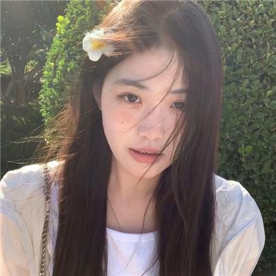 收集