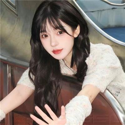 盗贼泰瑞莎
