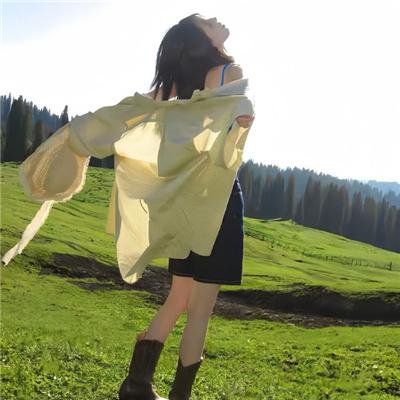 威尼斯计划